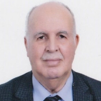 سعيدي محمد