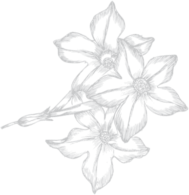 Image is not available